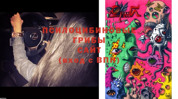 прущая мука Алзамай
