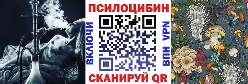 где купить   Углич  Псилоцибиновые грибы MAGIC MUSHROOMS 